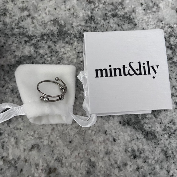 Mint&Lily Silver Fidget Ring - Picture 1 of 3